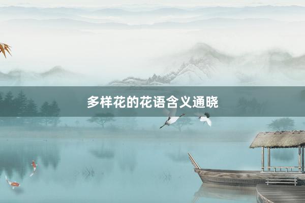 多样花的花语含义通晓