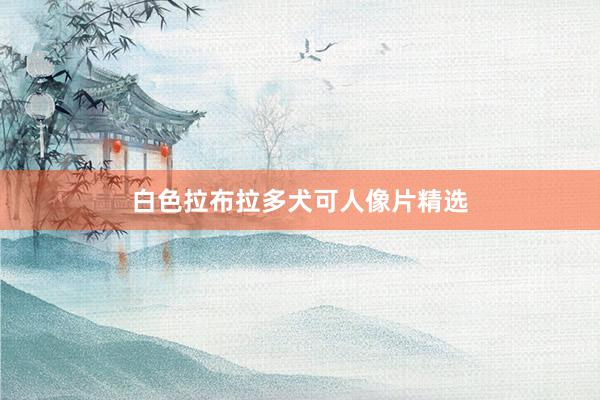 白色拉布拉多犬可人像片精选