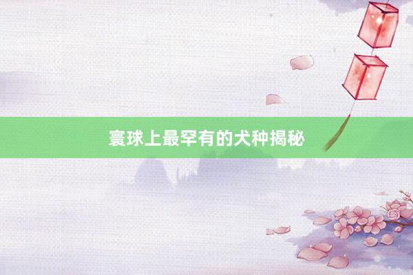 寰球上最罕有的犬种揭秘
