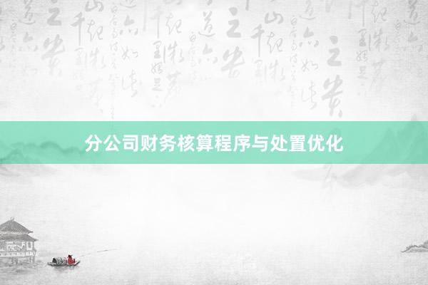 分公司财务核算程序与处置优化